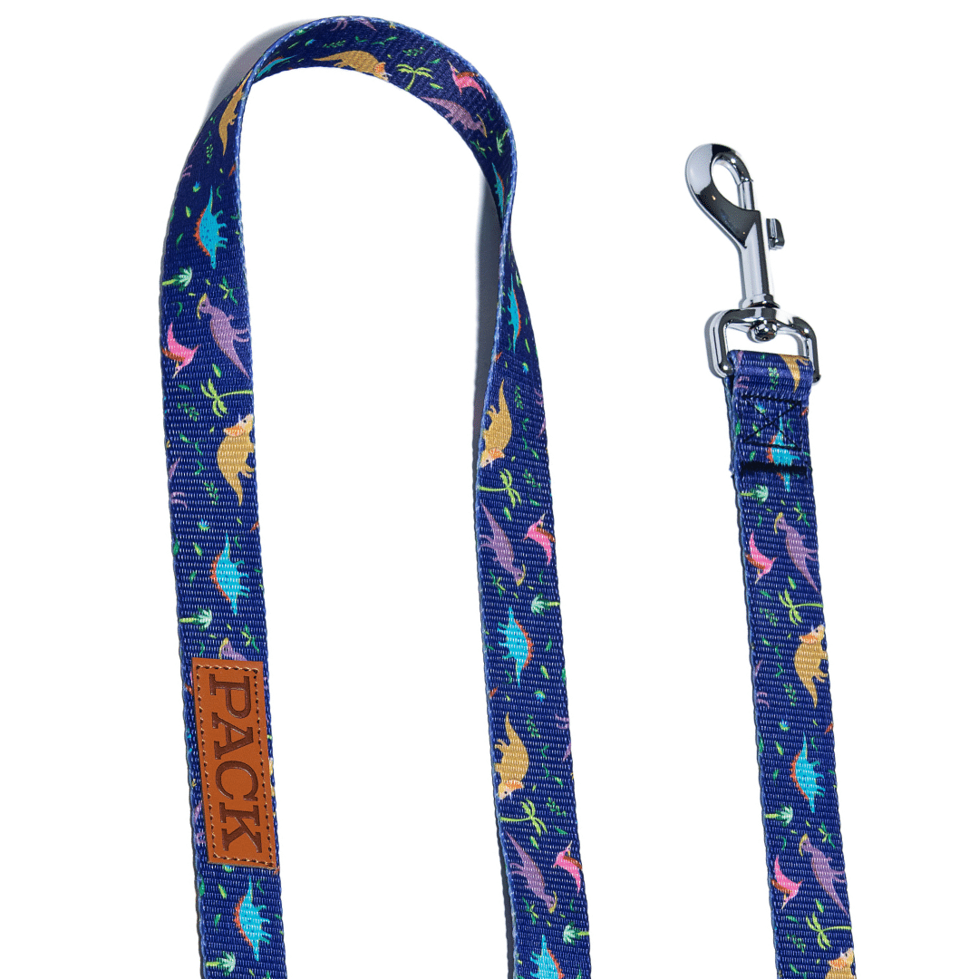 Dino Matching Leash