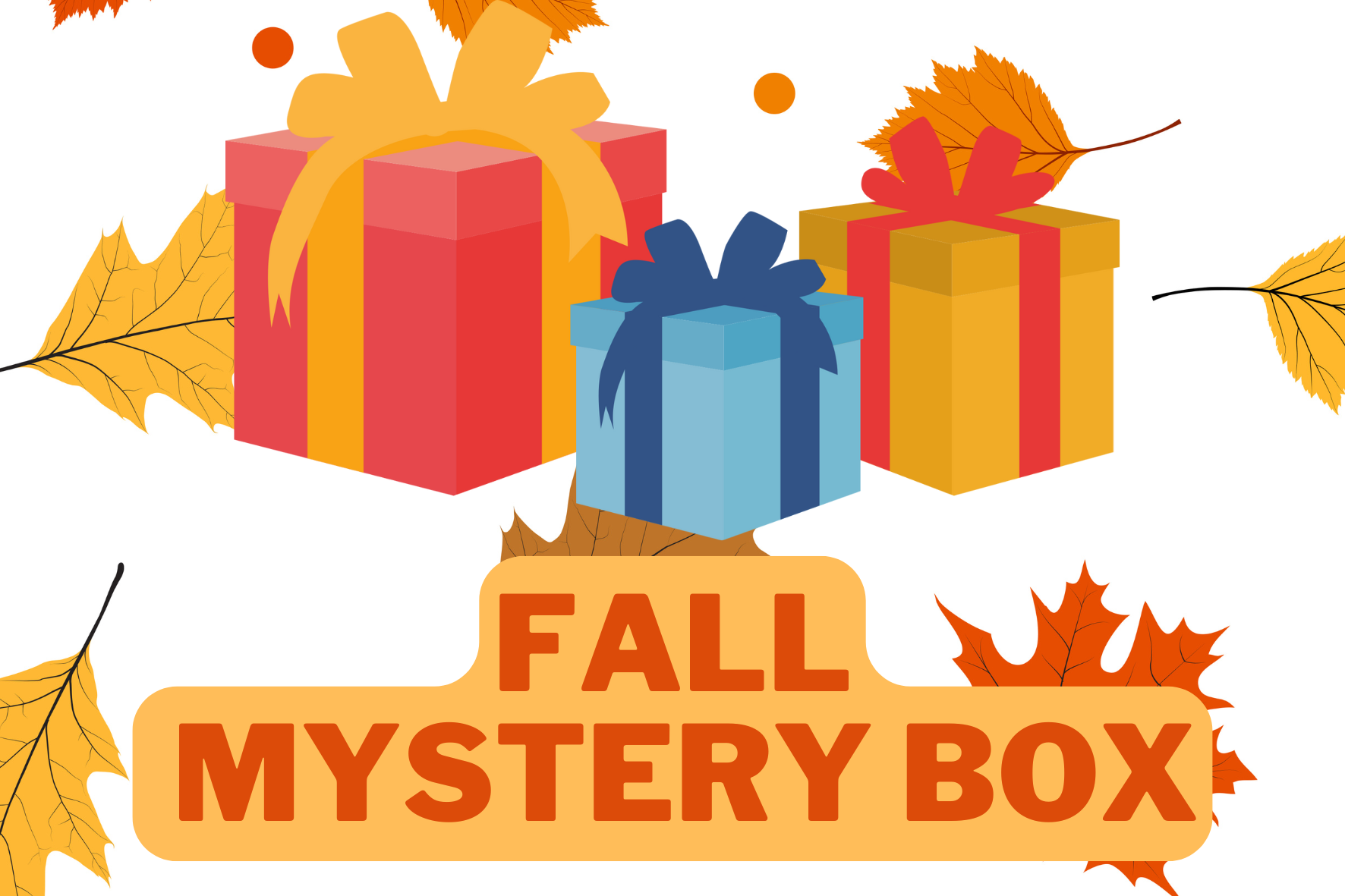 Fall Mystery Box