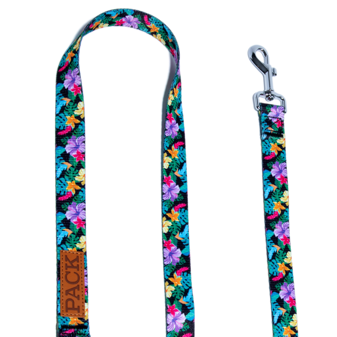 Rainforest Matching Leash + Minty Mocha - Free