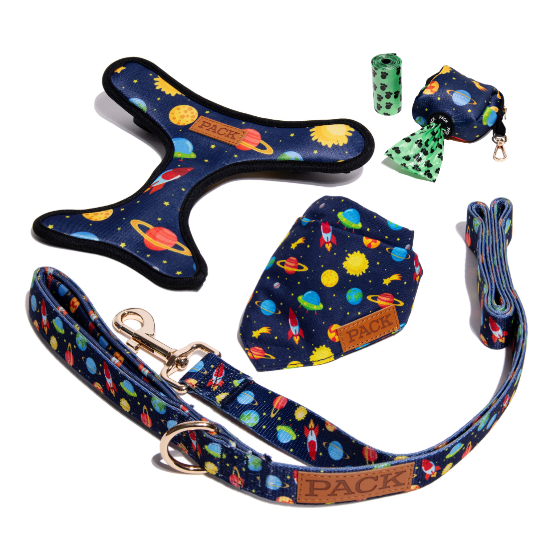 Space Jam Harness Collection - Pack Leashes