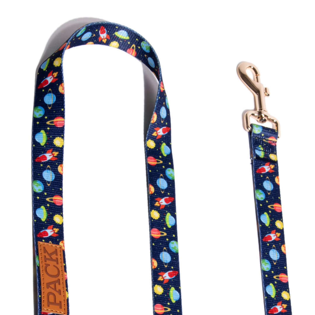 Space Jam Matching Leash - Free