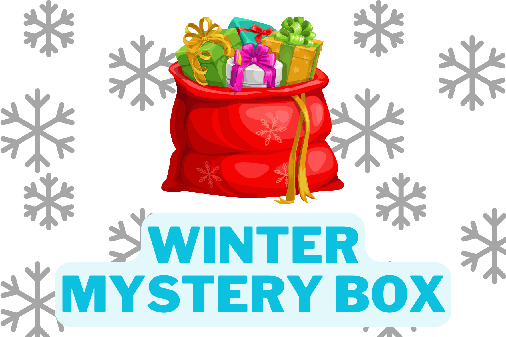 Winter Mystery Box