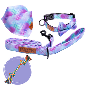 Pack Leashes Ambassador Set Rainforest Large