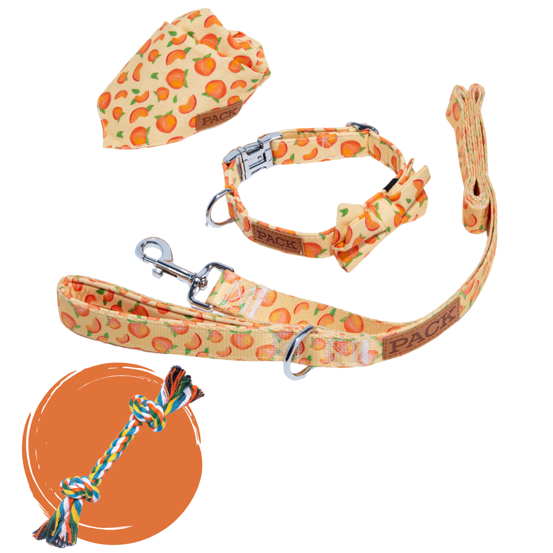 Pack Leashes Ambassador Set Peaches Large