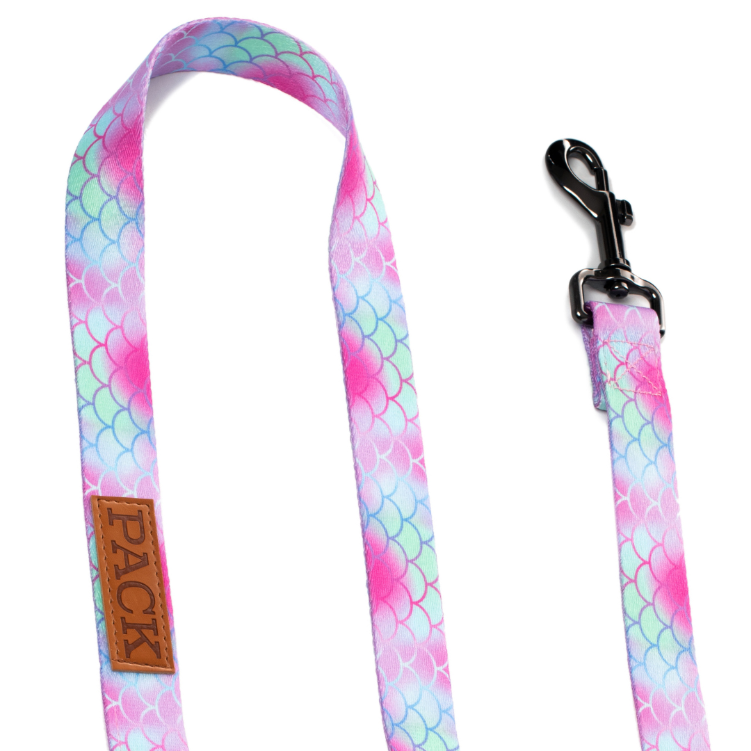 Ariel Leash