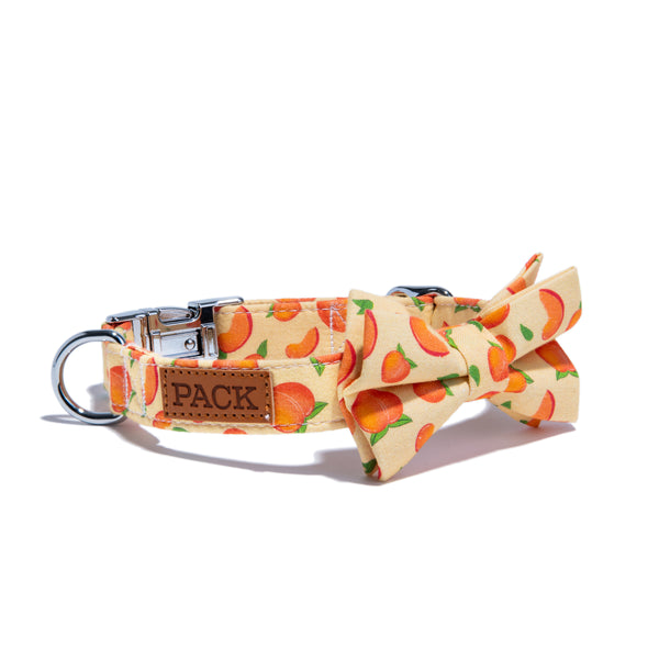 Dog collar cheap with peaches