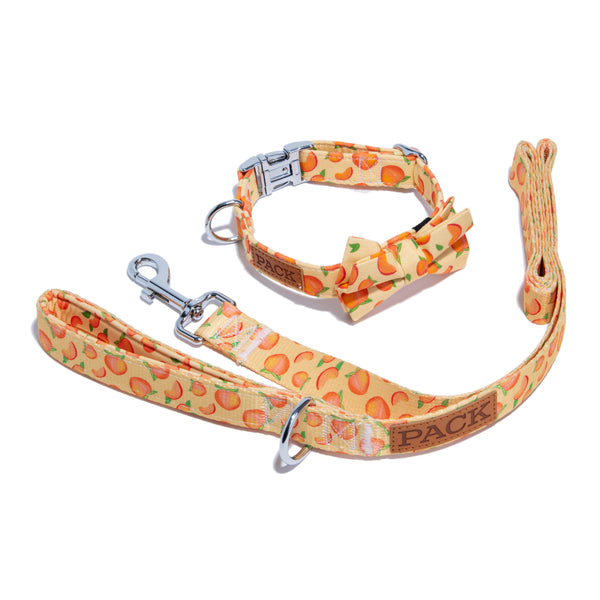 Pineapple Bow Tie Dog Collar - Pack Leashes