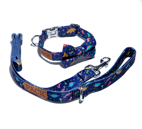 Dinosaur best sale puppy collar