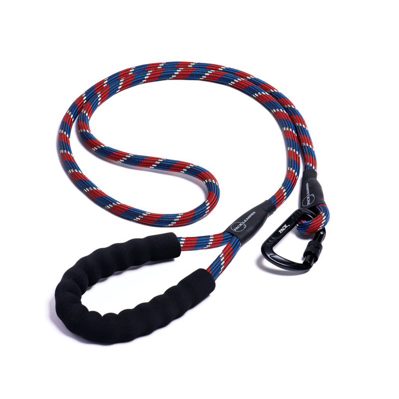 Leashes - Pack Leashes