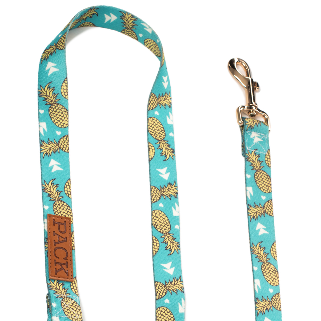 Pineapple Leash