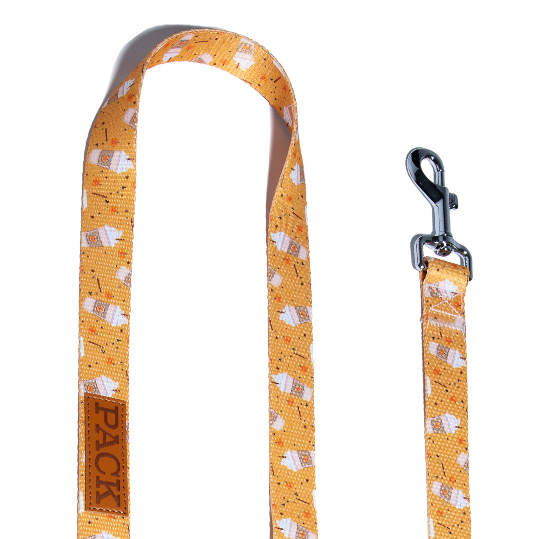 Pumpkin Spice Latte Matching Leash + Minty Mocha - Free