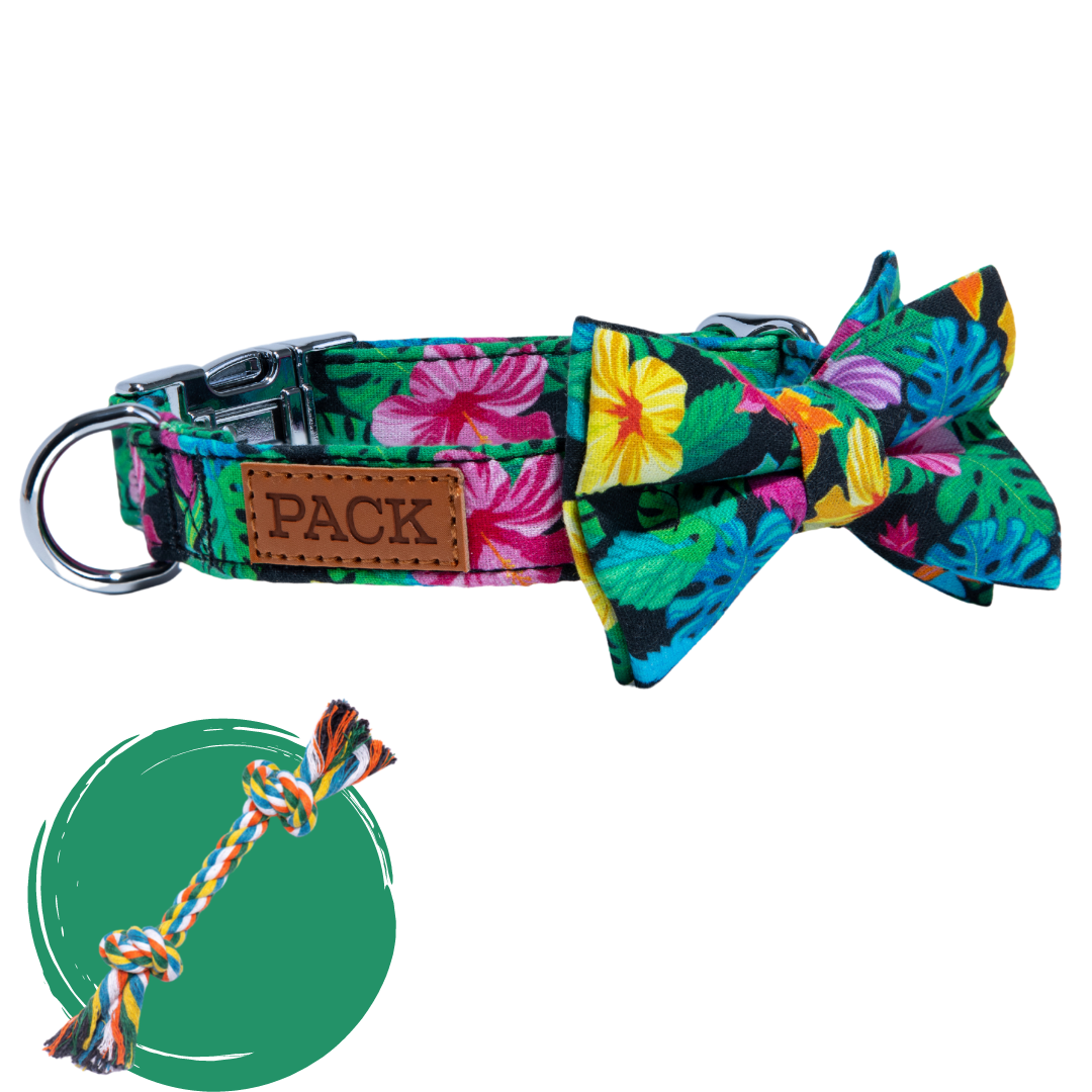 Rainforest + Rope Toy - Free Product